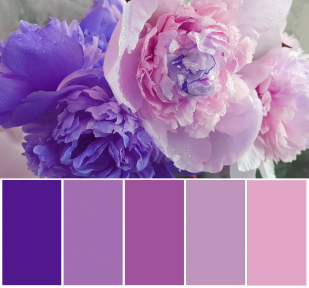 istock Beautiful flowers, color swatch 1556126938