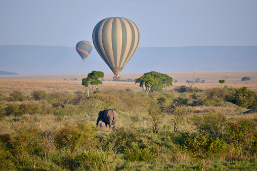 Hot air ballooning in the Maasai Mara, Kenya