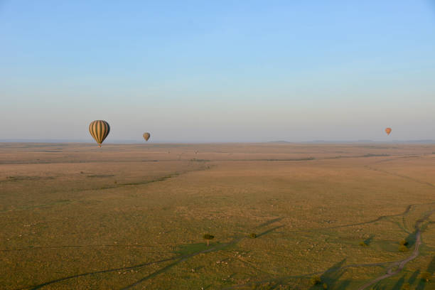 istock Hot air ballooning 1556126952