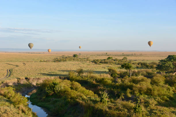 istock Hot air ballooning 1556130330