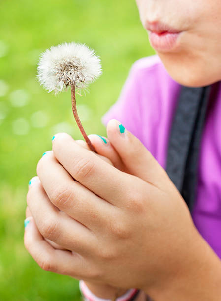 istock Girl blowing dandelion 155613131