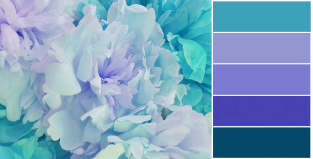 Beautiful flowers, color swatch