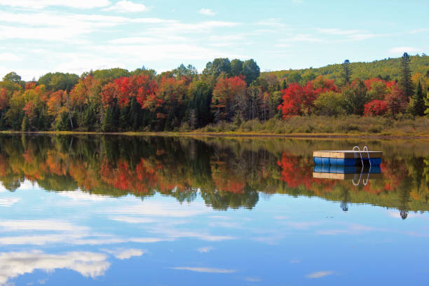 istock Charlie Lake 1556151037