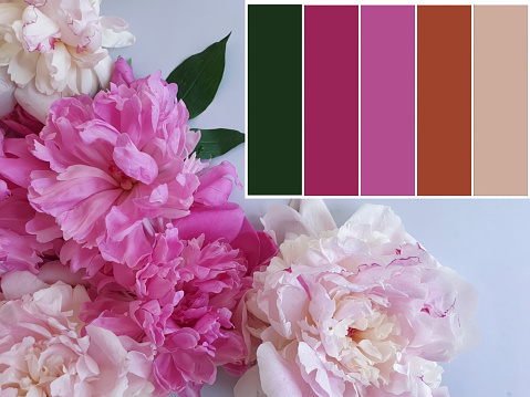 Beautiful flowers, color swatch