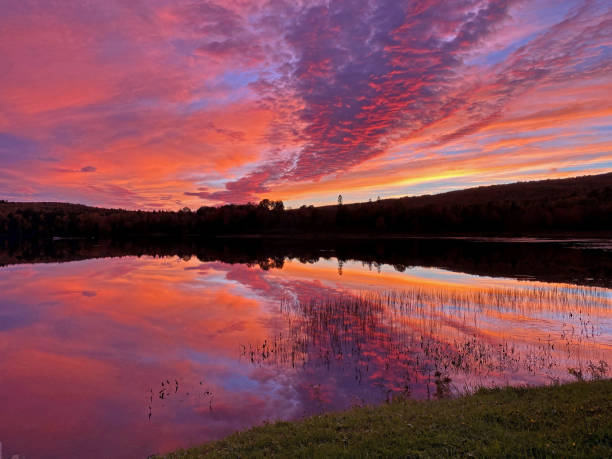 istock Charlie Lake Sunset 1556151048
