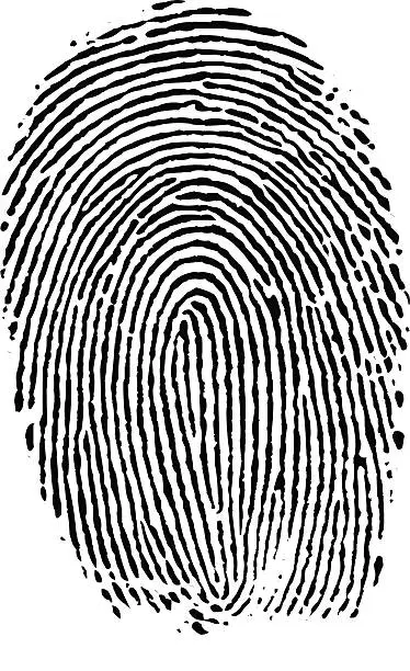 Vector illustration of Fingerprint Index (vector)