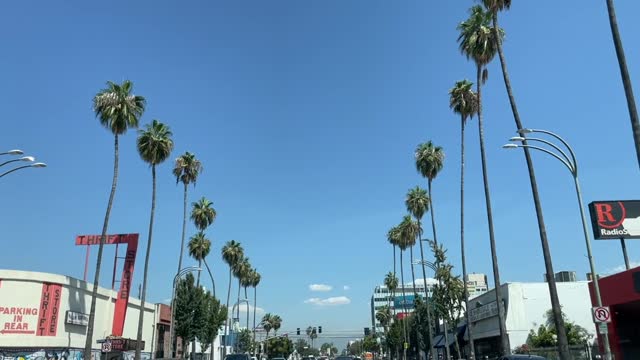 Driving down Van Nuys Blvd. in Los Angeles, California