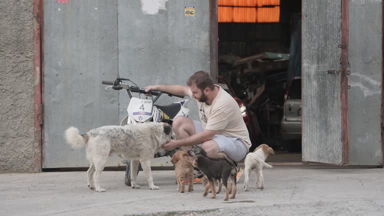 Mechanics petting stray dogs after engine test in front of mechanic's garage.