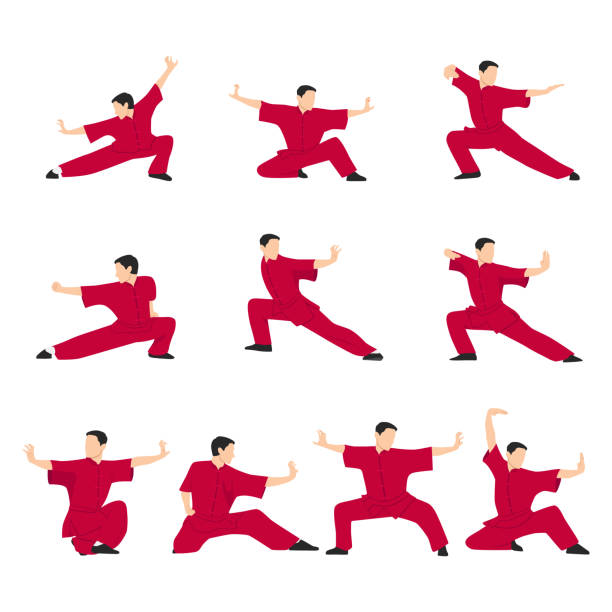 illustrations, cliparts, dessins animés et icônes de ensemble vectoriel de wushu. positions de wushu. éléments de conception et icônes - aikido