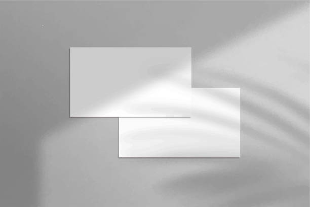 istock Minimal and elegant realistic Business Card Mockup with shadow overlay. Blank white and gray Business Card Mockup isolated background. 3D Vector Illustration. 1556214732