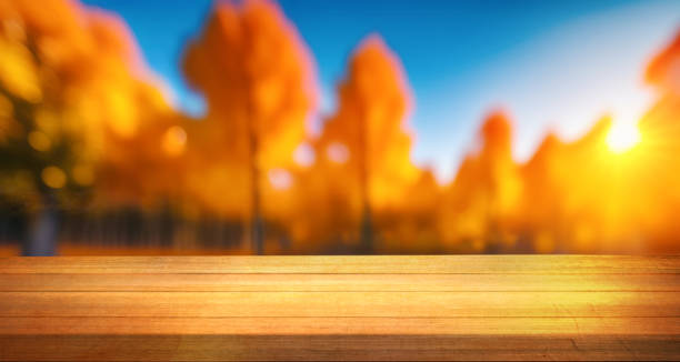 Creative autumn themed background image with space to showcase something.
