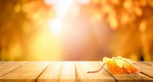 A beautiful fall-themed background image with a soft background and a wooden base in the foreground.