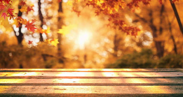 A beautiful fall-themed background image with a wooden base.