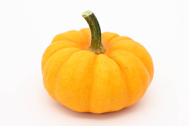 Jack-Be-Little Pumpkin stock photo