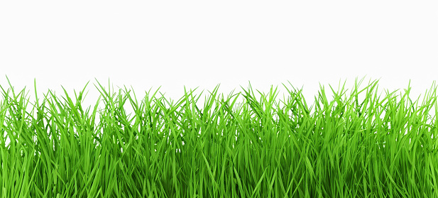Green grass panorama  design element.Some other images you may also find useful: