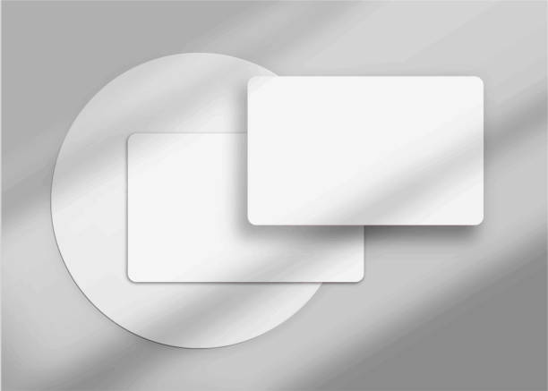 istock Realistic elegant and minimalist white blank business card mockup. 3D vector illustration. Windows shadow and leaves overlay on isolated background. 1556242901