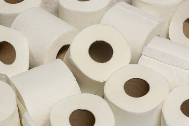istock white toilet paper rolls 1556254611