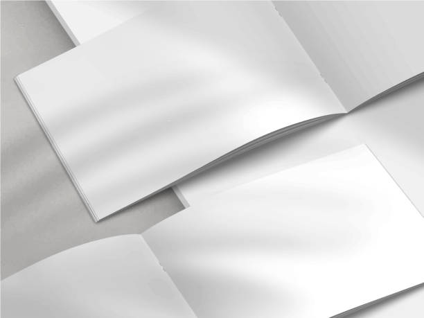 ilustrações de stock, clip art, desenhos animados e ícones de realistic empty blank a4/a5 flyer, booklet, half-fold, brochure, leaflet, book presentation template design. window and leaves shadow overlay, isolated on white background. 3d vector illustration. - horizontal