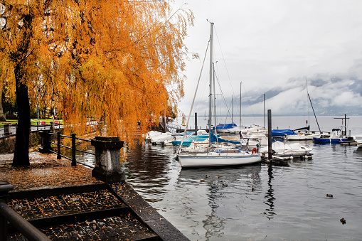 All weather is beautiful in Locarno , Switzerland: boats next to pier and fog or low clouds  next to mountains. Alittle rain, small duck in water. Autumn leaf color on coastline park