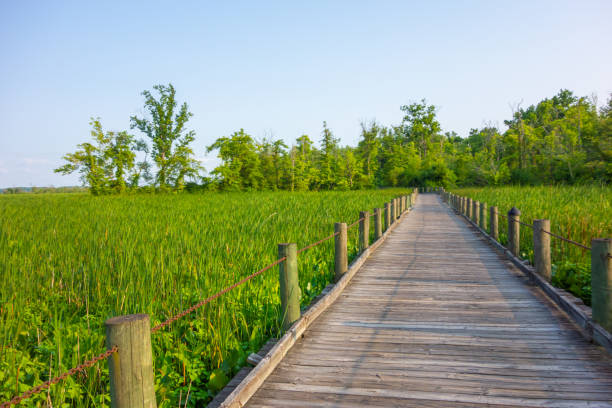 istock Views cycling on the Mt. Vernon Trail 1556348423