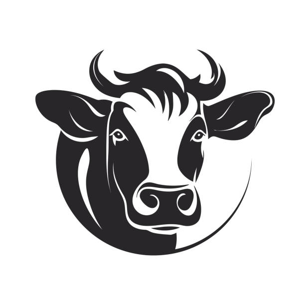 minimalistyczny szablon symbolu głowy krowy. czarno-biała ilustracja wektorowa twarzy krowy. nadaje się do gospodarstw rolnych i firm związanych z mleczarstwem. - domestic cattle stock illustrations