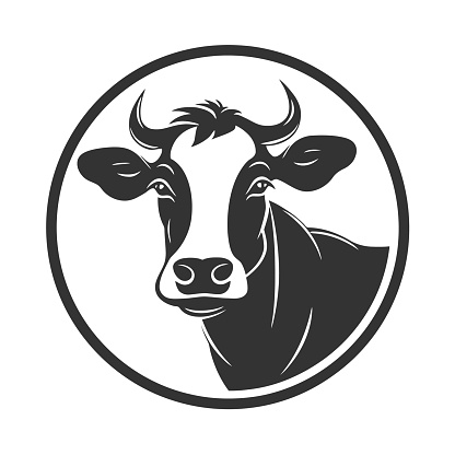 Stylish cow symbol template. Vector illustration of a black and white cow head. Ideal for branding and agriculture businesses.