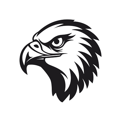 Elegant vector symbol template of an eagle head on a white background. Symbolizes power, courage, and vision. Versatile for various industries