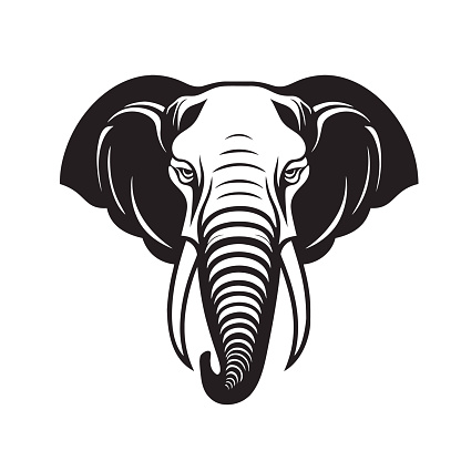 Magnificent elephant head isolated on a white background. Captivating black and white vector illustration, perfect for your creative designs.