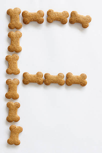 istock Bone Shape Dog food Letter F 155639087