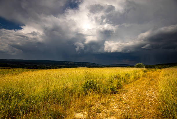 Thunderstorm over meadows with dark sky and big cumulonimbus thundercloud and rain