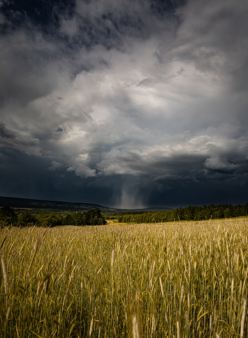 Thunderstorm over meadows with dark sky and big cumulonimbus thundercloud and rain
