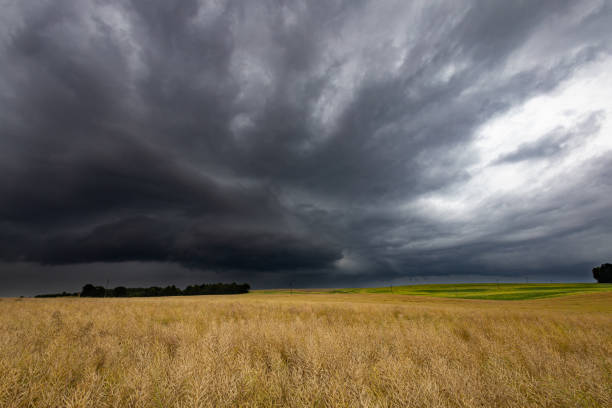 istock Thunderstorm over meadows with dark sky and big cumulonimbus thundercloud and rain 1556404556