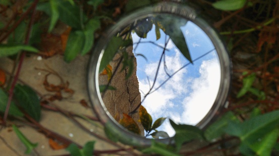 Reflection of the sky and clouds in a mirror sitting between leaves on a plant