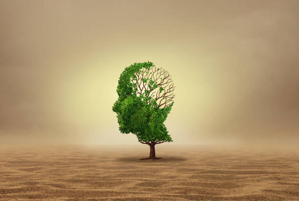 istock Mental Health and Heatave 1556410337