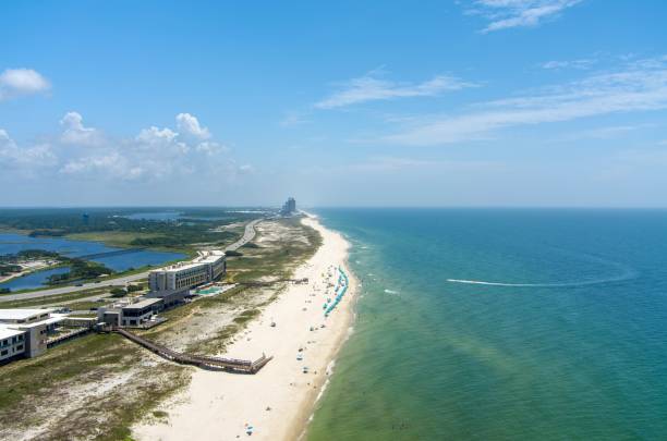 istock The beach at Gulf Shores, Alabama 1556413426