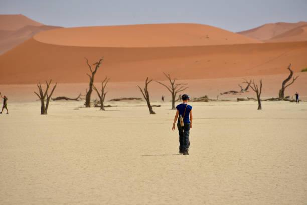 Dead Vlei Dead Vlei, Sossusvlei National Park, Namibia namib sand sea stock pictures, royalty-free photos & images