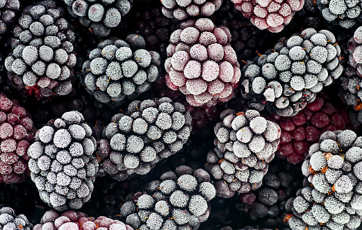 Macro photo of frozen blackberries, as background. Blackberries covered by hoarfrost, top view.