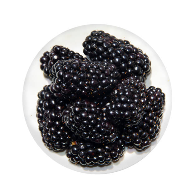 istock Black blackberry in a plate on a white background. 1556501424