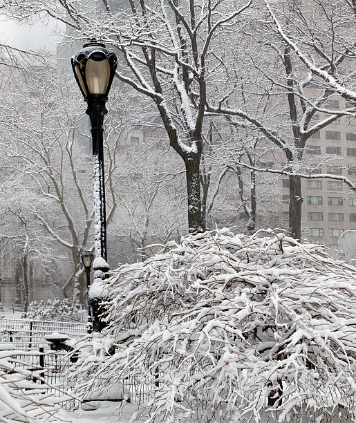 istock During snow storm in Central Park, New York city 155652780