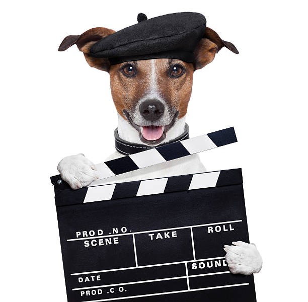 istock movie clapper board director dog 155652834