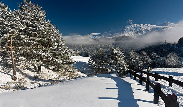 winter landscape snow tree seasonal mountain stock photo