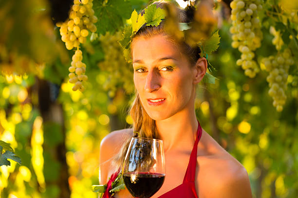Woman with glass of wine in the vine stock
