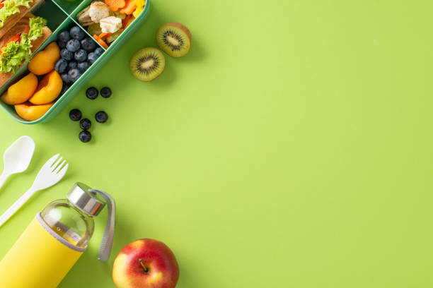 istock Engage audience's appetite by presenting top-down image of lunchbox with delicious sandwiches, fresh fruits, veggies, and water bottle on light green isolated background, allows for text or promotion 1556575137