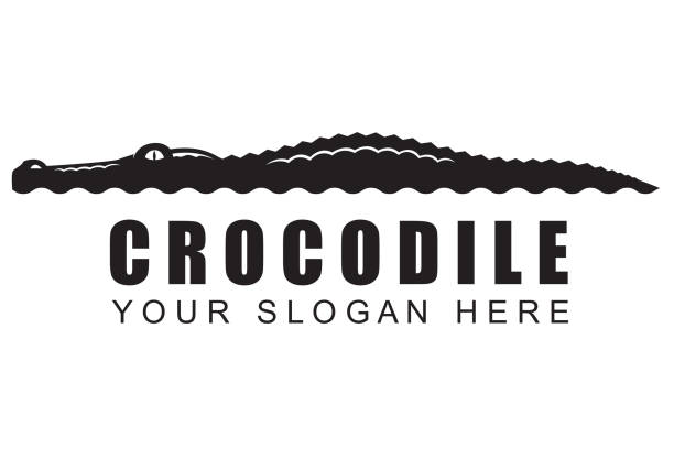 illustrazioni stock, clip art, cartoni animati e icone di tendenza di icona del coccodrillo - alligatore