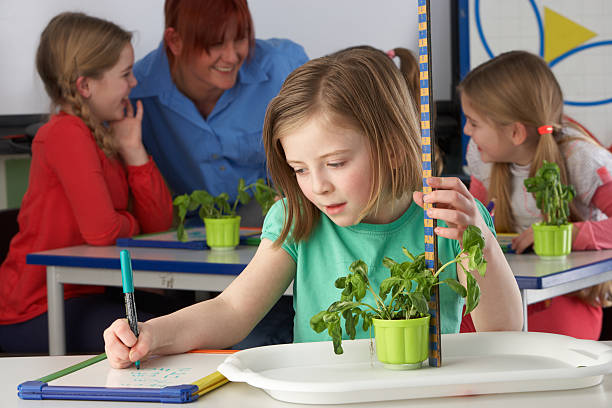 Girl learning about plants in school class stock photo