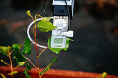 Modern plant photosynthesis and gas exchange measuring device