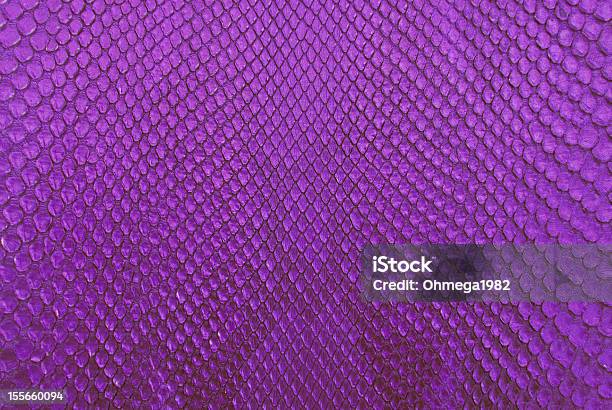 Purple Python Snake Skin Texture Background Stock Photo - Download ...