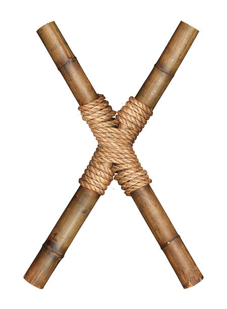 istock One letter of bamboo alphabet 155663655