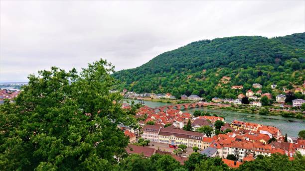 istock Germany. Heidelberg city with Necker River. 1556650915