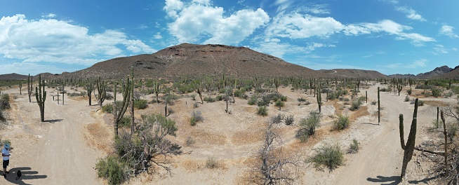 Panoramic view of desert with hill and cactus near La Paz, Mexico